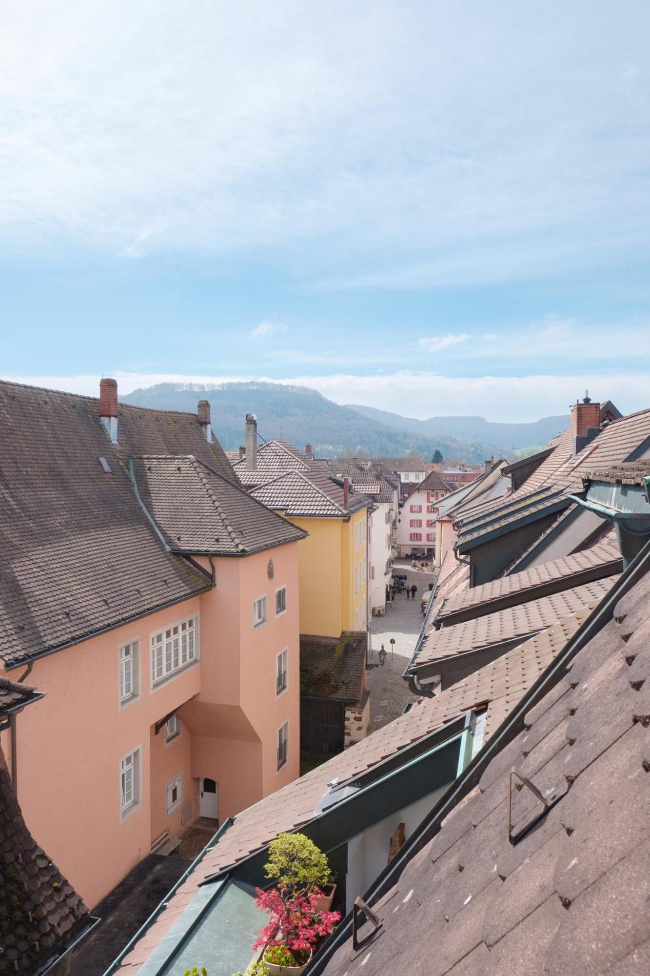 Neu Deluxe Suite Muensterblick, Maisonette, Kingsize Bett, Kueche, Netflix, Aussicht, E-Kamin Bad Säckingen Exterior foto